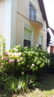 /album/galeria/kep3-jpg/